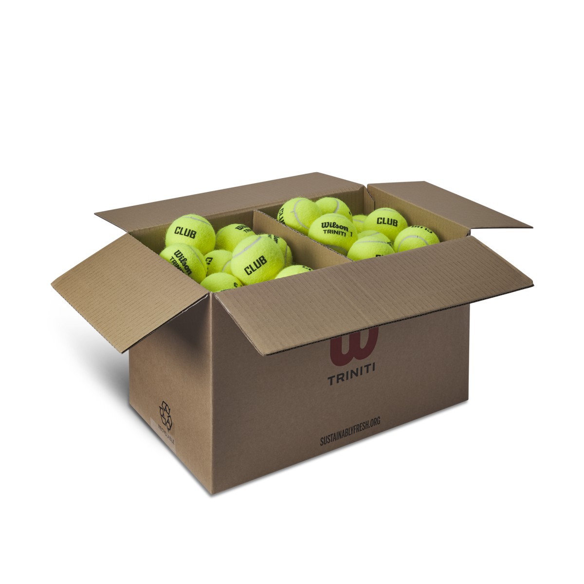 Are the Wilson Triniti balls in the Club Tennis Ball Case (72 balls) the same quality as the ones sold in sleeves?